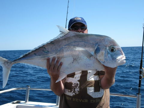 Blue Juice Charters - Sunshine Coast Guide 4