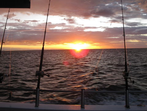 Blue Juice Charters - Sunshine Coast Guide 5