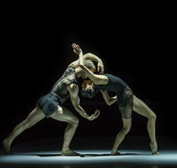 Sydney Dance Company - Sunshine Coast Guide