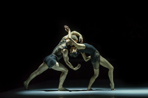 Sydney Dance Company - Sunshine Coast Guide 0