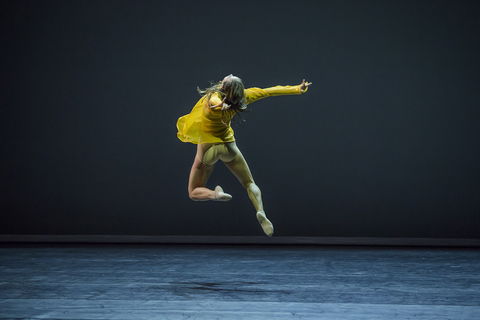 Sydney Dance Company - Sunshine Coast Guide 1