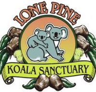 Lone Pine Koala Sanctuary - Sunshine Coast Guide