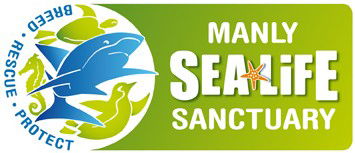 Manly SEA LIFE Sanctuary - Sunshine Coast Guide 0