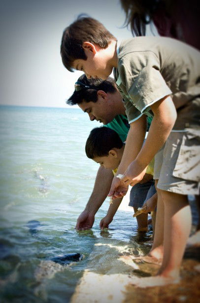 Aquascene Fish Feeding Sanctuary - Sunshine Coast Guide 3