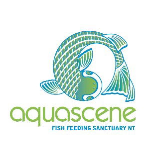 Aquascene Fish Feeding Sanctuary - Sunshine Coast Guide 5