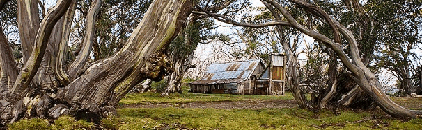 High Country Scenic Tours - Sunshine Coast Guide