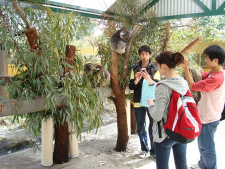Caversham Wildlife Park - Sunshine Coast Guide 4