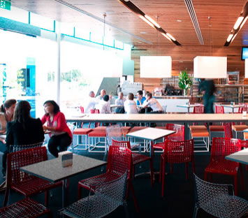 The Icehouse - Sunshine Coast Guide 3