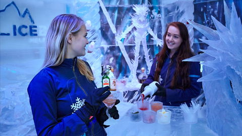 Icebar Melbourne - Sunshine Coast Guide 1