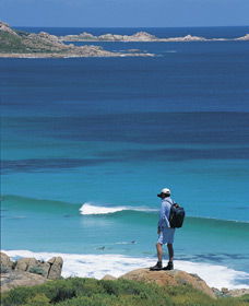 Smiths Beach - Sunshine Coast Guide 0