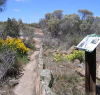 Christmas Rock Walk - Sunshine Coast Guide