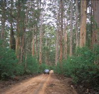 Boranup Drive - Sunshine Coast Guide