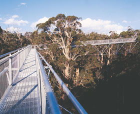 Walpole-Nornalup National Park - Sunshine Coast Guide 0