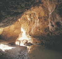 Tunnel Creek National Park - Sunshine Coast Guide