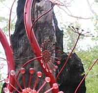 Understory Art In Nature - Sunshine Coast Guide