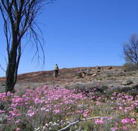 Talgomine Reserve - Sunshine Coast Guide