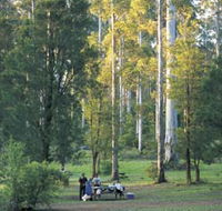 Big Brook Arboretum - Sunshine Coast Guide