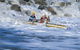 Bells Rapids - thumb 0