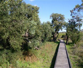 Kepwari Trails Wetland Wonderland - Sunshine Coast Guide 0