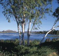 Celebrity Tree Park - Sunshine Coast Guide