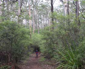 Margaret River Rails Trail - Sunshine Coast Guide 0