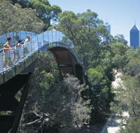 Lotterywest Federation Walkway - Sunshine Coast Guide