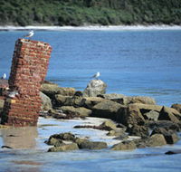 Whalers Beach - Sunshine Coast Guide