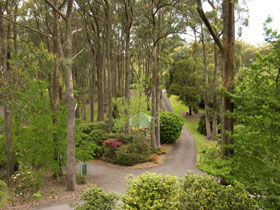 Mount Lofty Botanic Garden - Sunshine Coast Guide 0