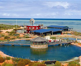 Ocean Park Aquarium - Sunshine Coast Guide 0