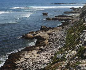Cape Vlamingh - Sunshine Coast Guide 0