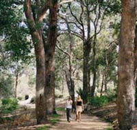 Law Trail and Lotterywest Federation Walkway Kings Park - Sunshine Coast Guide