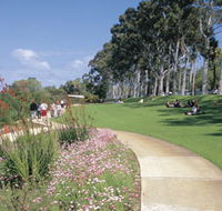 Kings Park Free Guided Walks - Sunshine Coast Guide
