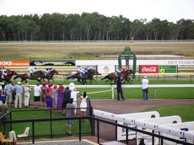 Pinjarra Race Club - Sunshine Coast Guide 0