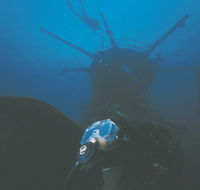 Swan Dive Wreck - Sunshine Coast Guide