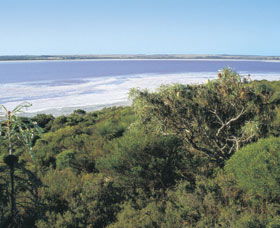 Pink Lake - Sunshine Coast Guide 0