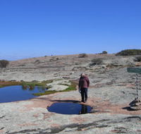 Dingo Rock