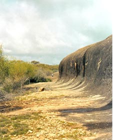 Totadgin Dam Reserve - Sunshine Coast Guide 0