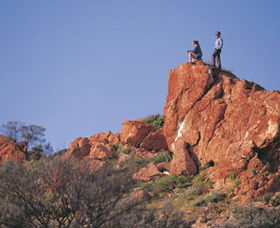 Mount Magnet WA Sunshine Coast Guide