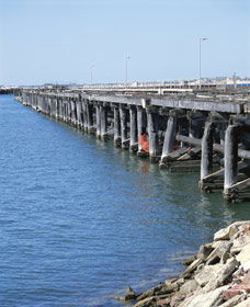 Old Timber Jetty - Sunshine Coast Guide 0