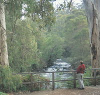 Cascades - Sunshine Coast Guide