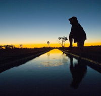 Myalls Bore - Sunshine Coast Guide