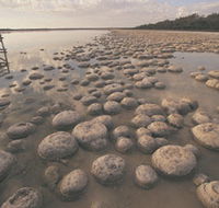 Yalgorup National Park