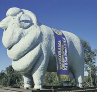 Giant Ram Tourist Park - Sunshine Coast Guide