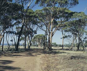 Dumbleyung WA Sunshine Coast Guide