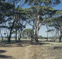 Lake Dumbleyung - Sunshine Coast Guide