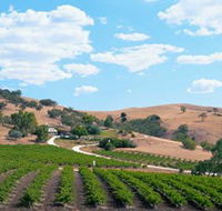 Bethany Wines - Sunshine Coast Guide