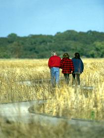 Onkaparinga River Recreation Park - Sunshine Coast Guide 0