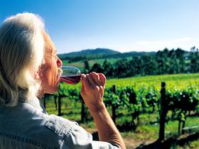 Ashton Hills Vineyard - Sunshine Coast Guide 0