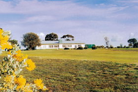 Lucindale Country Club - Sunshine Coast Guide 0