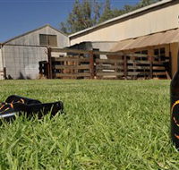 Wilkadene Woolshed Brewery - Sunshine Coast Guide